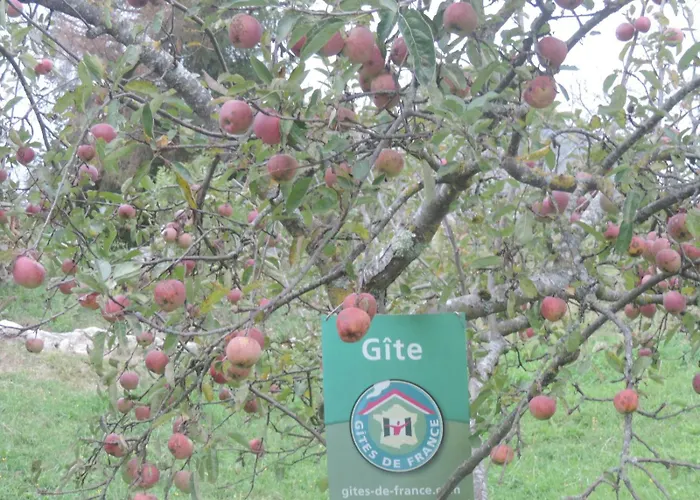 Semesterbostad Moulin Le Petit Nid Arcizans-Dessus