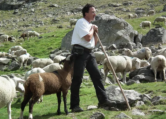 Moulin Le Petit Nid Semesterbostad *